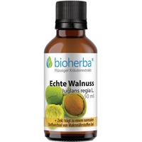 Bioherba Echte Walnuss