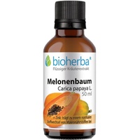 Bioherba MELONENBAUM Carica papaya L.