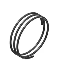 DT Swiss Feder Ratchet EXP