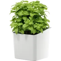 Tesa Kräutertopf-Set weiß