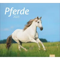 Heye Pferde Bildkalender 2025: times&more Tierkalender für Pferdefreunde. Kalender