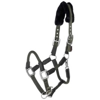 Kerbl 3297740 Cordano Halfter, Oliv, Größe Pony, 50 Stück