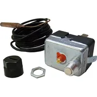 Bosch Sicherheitstemperaturbegrenzer
