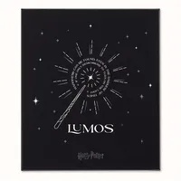 Moleskine Germany GmbH Moleskine Harry Potter Lumos Thematisches Bundle