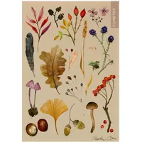 ArsEdition MyNOTES Papeterie: Notizheft Naturschätze