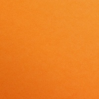 Clairefontaine Maya Fotokarton 50x70cm 270g 125 Bogen - Clementine