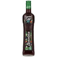 Berentzen Smoothie Shot Berry Kiss 500ml