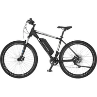 Fischer Montis Europameisterschaft 1726 - 557 Wh, 48 cm,