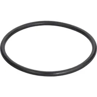 Grünbeck O-Ring 211,00 x 12,00-EPDM 70 TrinkW 87003320