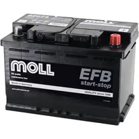 Moll Funktionsmöbel GmbH EFB 74Ah 12V