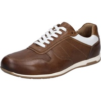 Josef Seibel Colby 01 für Herren, braun, Gr. 43