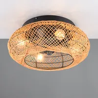 Trio Leuchten Lillesand Deckenleuchte/Ventilator, R67302126,