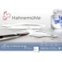 Hahnemühle 10 628 844 Hahnemühle Harmony Rough 24x30