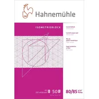 Hahnemühle Isometrieblock A3 raut