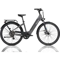DERUIZ Quartz 48V/13,4Ah 644Wh grau E-BikeTrekking Pedelec 120km