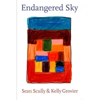 Hatje Cantz Verlag GmbH Endangered Sky