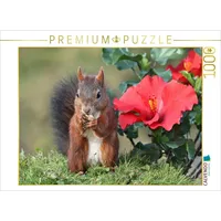 Calvendo Puzzle Dunkelpuschel mit großer Hibiskusblüte 1000 Teile Lege-Größe