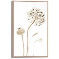 Reinders! "Trockenblumen", beige (farbe bild(er): beige), B:20cm H:30cm T:1,6cm,