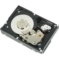 Dell ASSY HD 900 SAS 10 2.5 HIT FRU