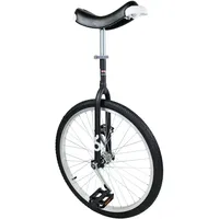 OnlyOne Einrad Outdoor. 24’’, 36 Speichen. Chrom