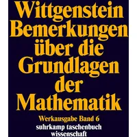 Suhrkamp Schriften über die Grundlagen der Mathematik und Physik