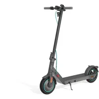 Odys Alpha X5 E-Scooter (10 Zoll, Schwarz)