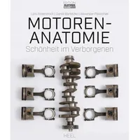 Heel Motoren-Anatomie