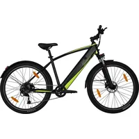 Sachsenrad E-Racing Mountainbike R8 Flex III,14.5Ah Hydraulische Bremsen 9