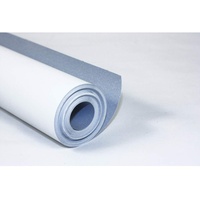 Clairefontaine 34160C Packung mit 50 Blatt Malpapier (120 g,