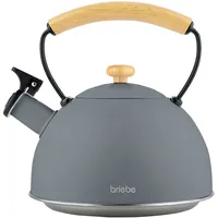 Briebe Nordic Wasserkessel Induktion Flötenkessel, Edelstahl Teekessel Retro Alle