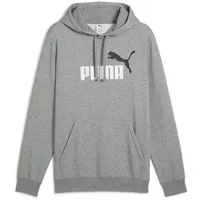 Puma Essentials 2 Color No. 1 Logo Fleece Hoodie