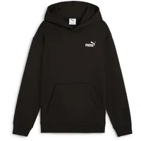 Puma ESS Small No. 1 Logo Relaxed Hoodie FL