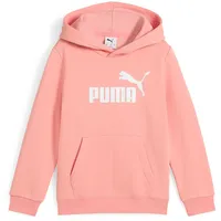 Puma ESS No. 1 Logo Hoodie FL PS Pink