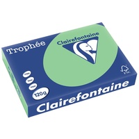 Clairefontaine Multifunktionspapier Trophée, A4, naturgrün