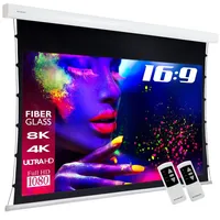 ESmart Expert XTS Tension Leinwand Grau 244 x 137