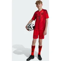 Adidas FC Bayern München 24/25 Heimshorts Kids Red 152    