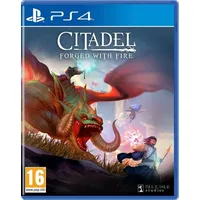 Virtual basement Citadel: Forged with Fire PS4