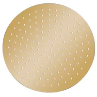 VidaXL Regenbrause Edelstahl 30 cm Rund Golden