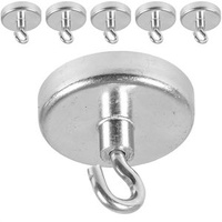 Eichner 5er-Pack Magnethaken, Haftkraft 10,2 kg silber