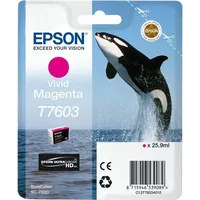 Epson Original Tintenpatrone magenta C13T76034N10