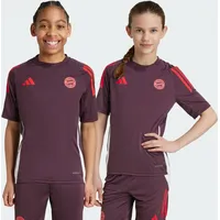 Adidas FC Bayern München Tiro 24 Kids Trainingstrikot Shadow