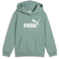 Puma Essentials No. 1 Logo Fleece Hoodie Jungen 30