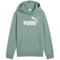 Puma Jungen ESS 2 Color No. 1 Logo Hoodie