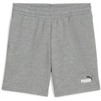 Puma Essentials 2 Color No. 1 Logo Shorts TR