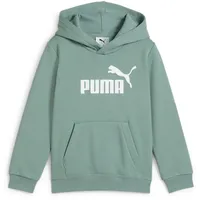 Puma ESS No. 1 Logo Hoodie FL PS Green
