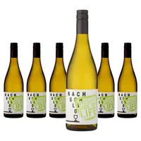Winzerhof Stahl Riesling Bright Side of Life 6 x