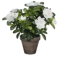 Mica decorations Weiße künstliche Azalee In Grau Topf Ø11,5X27Cm