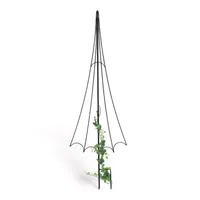 DanDiBo Ambiente DanDiBo Rankhilfe Garten Metall Schwarz Regenschirm Rankgitter