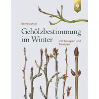 Ulmer Eugen Verlag Gehölzbestimmung im Winter