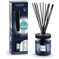 Esteban - Nachfüllbares parfümiertes Bukett Ellipse FLACHS & PETITGRAIN